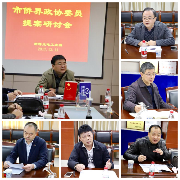 陈义红出席武汉市侨界政协委员提案研讨会