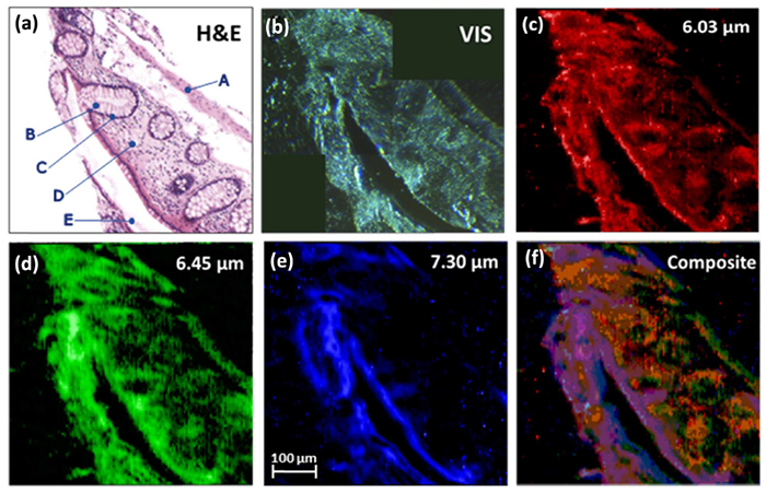 高光谱成像 高光谱成像