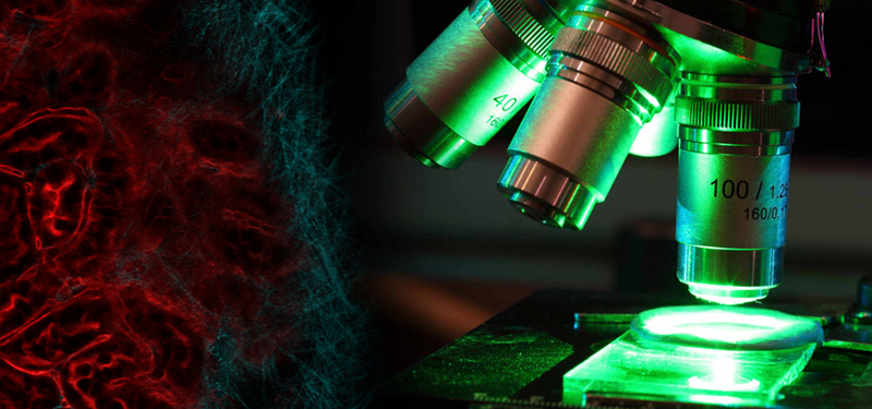 生命科学 生命科学