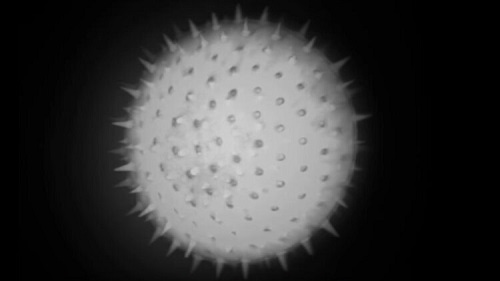 无散斑荧光照明 无散斑荧光照明